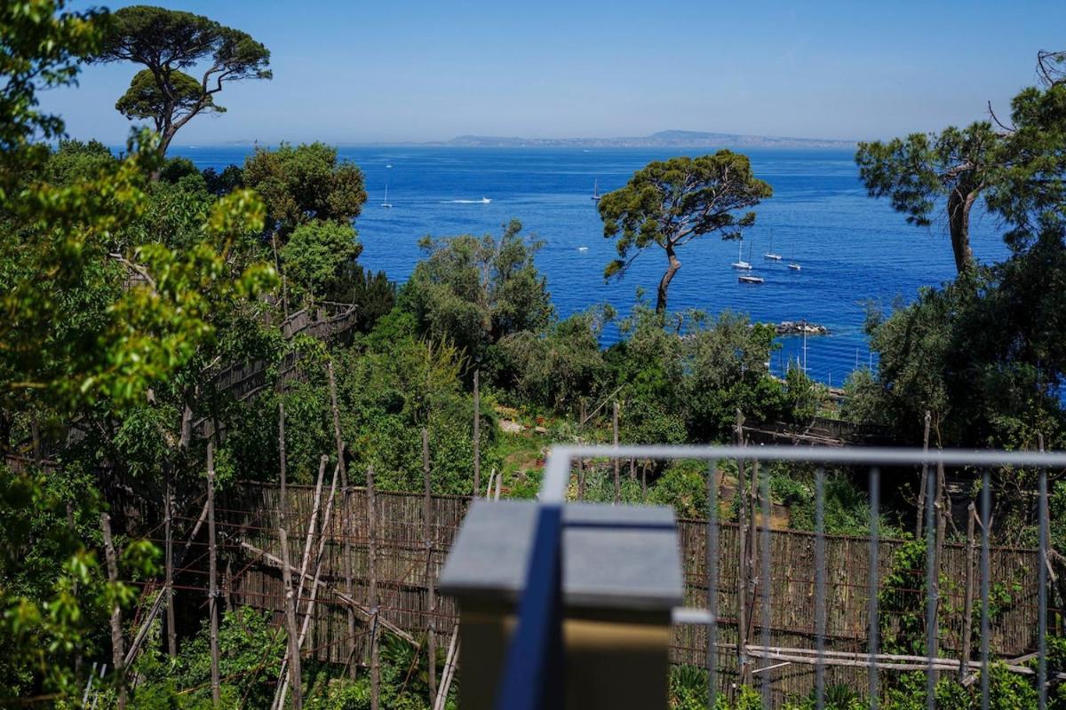 Villa Preziosa Al Pizzo 3 Km Da Sorrento Sant'Agnello Luaran gambar