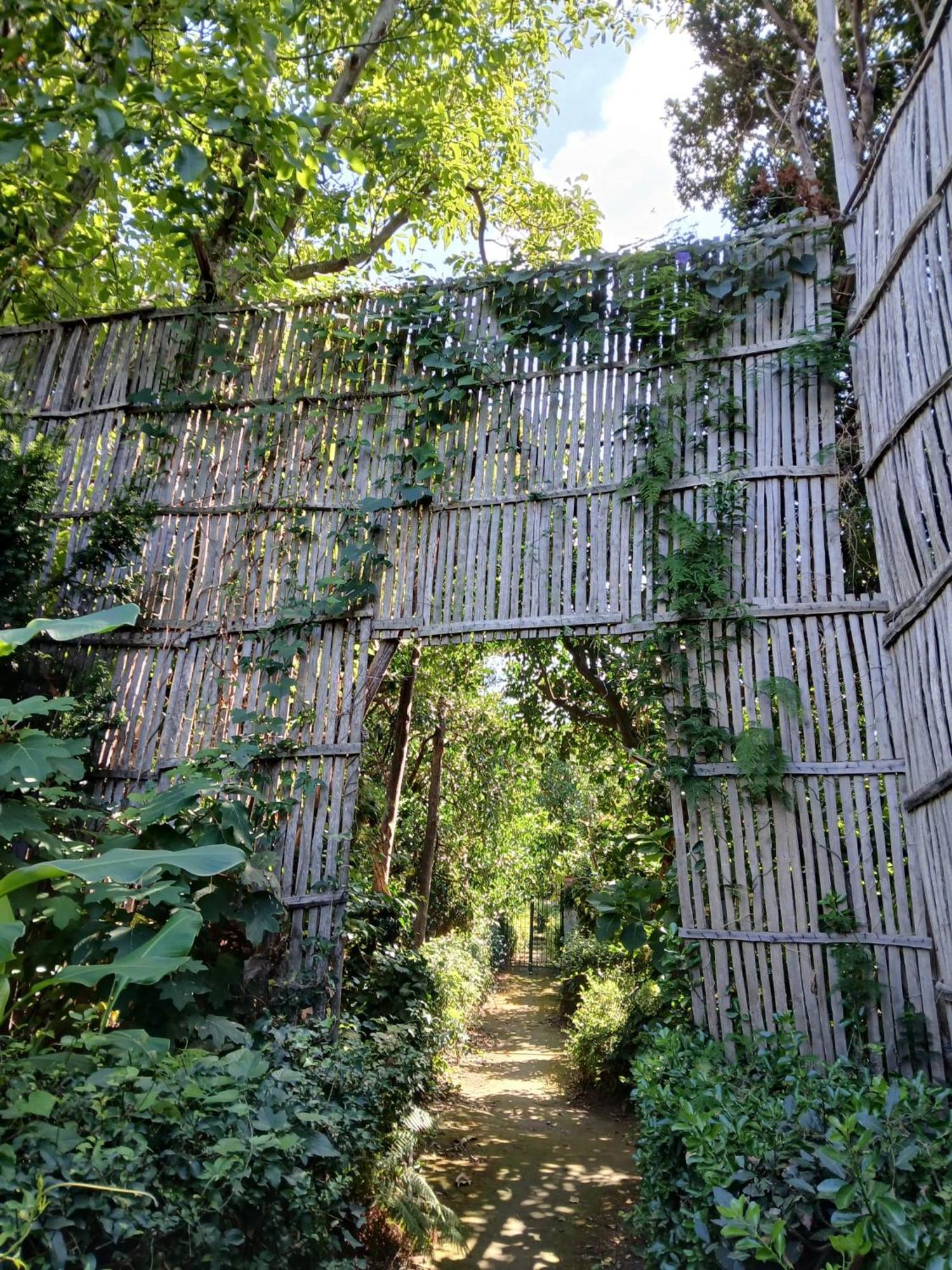 Villa Preziosa Al Pizzo 3 Km Da Sorrento Sant'Agnello Luaran gambar